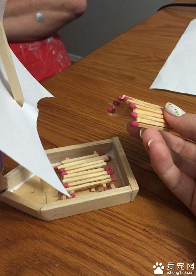 宠物鱼去世后 主人为它举办了一场“海盗葬礼”