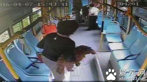 山东大妈带宠物上公交 报警后三次要跳车逃走