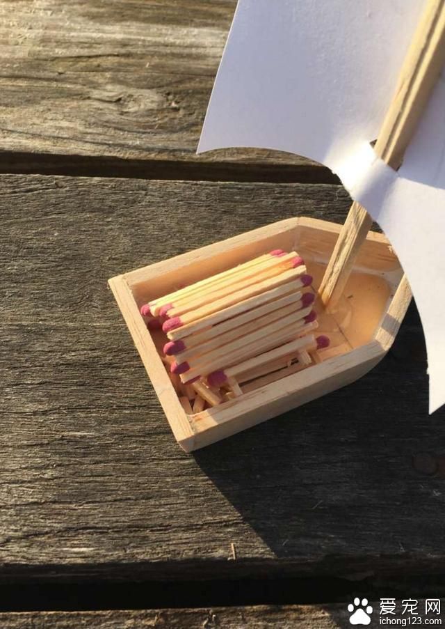 宠物鱼去世后 主人为它举办了一场“海盗葬礼”