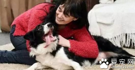 领养狗狗突然失常 而因此主人被救了性命