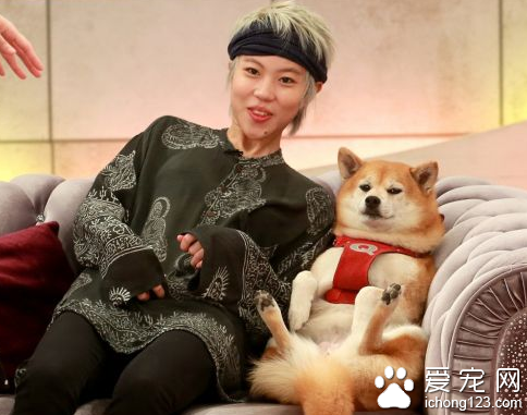 超有爱！ 窦靖童录制节目并向狗狗索吻