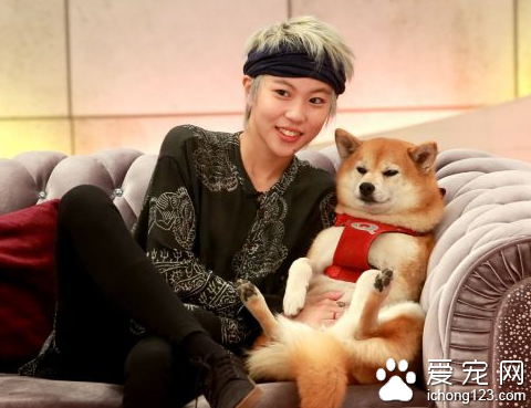 超有爱！ 窦靖童录制节目并向狗狗索吻