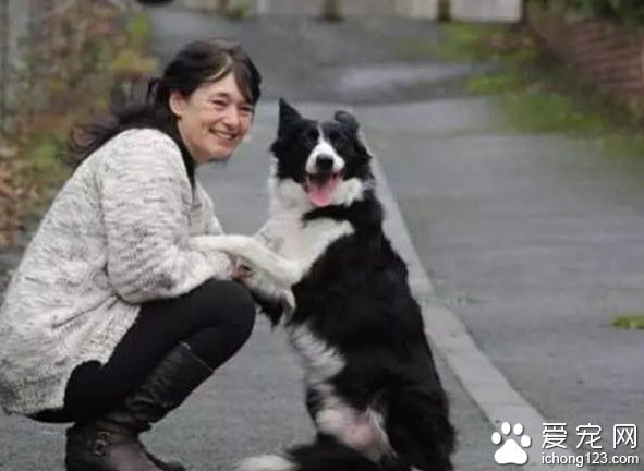 领养狗狗突然失常 而因此主人被救了性命