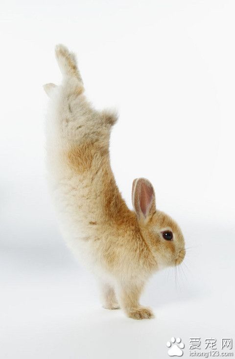 快点拍，我坚持不住啦 ！