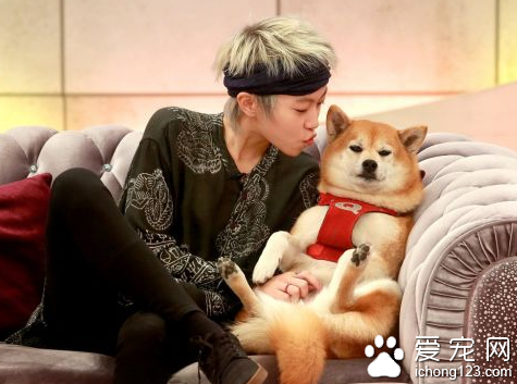 超有爱！ 窦靖童录制节目并向狗狗索吻