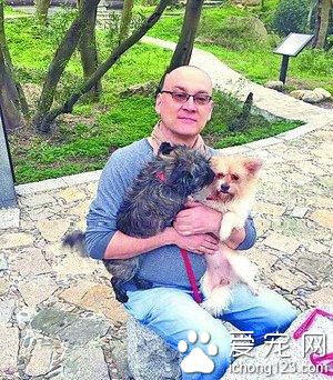 50岁外教在国内收养40只狗狗 称狗狗不是玩具