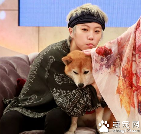 超有爱！ 窦靖童录制节目并向狗狗索吻