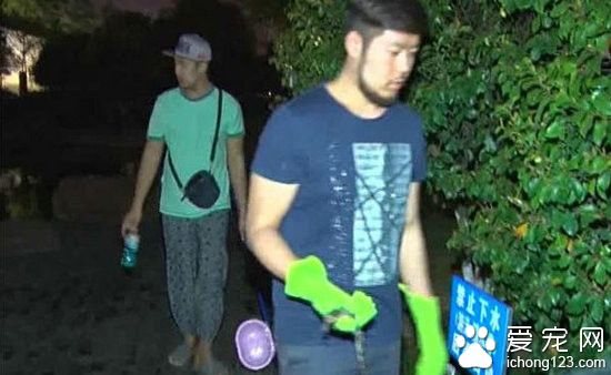 韩国游客带宠物鳄鱼游公园 不慎游入公园池塘
