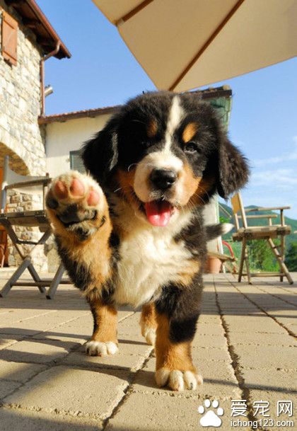 我再跟你招手呢~~~