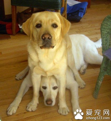 这样坐着就不凉了呢，哈哈~~