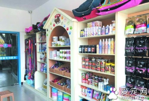 春季宠物用品畅销 400毫升沐浴液卖百元用四次