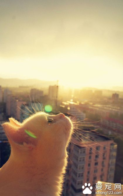 这是个忧伤的角度，我在思考人生，不要来烦我！