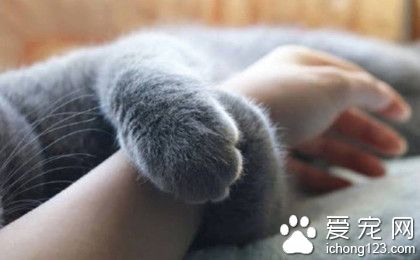 “表走~留下来陪我”，简真被萌化了！！！