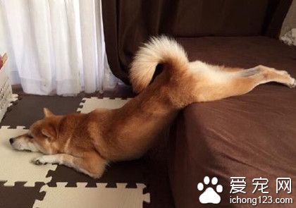 这销魂的动作，画面太美，我不敢看~~