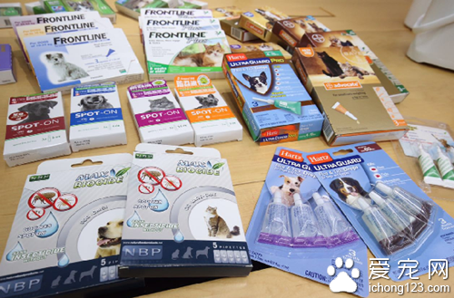 10多款宠物除蚤标示不清 会给饲主造成误用
