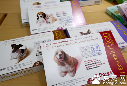 10多款宠物除蚤标示不清 会给饲主造成误用