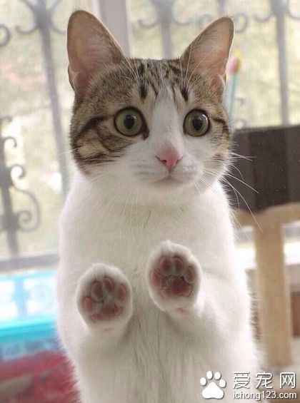 放我出去捏，放我出去捏~