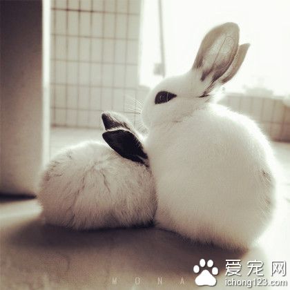 两情若是久长时，又岂在朝朝暮暮~