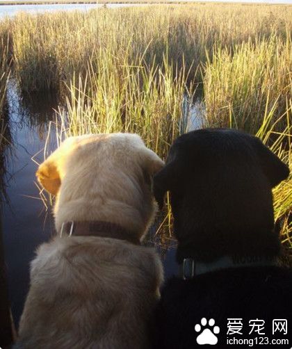 让我陪你一起去看尽这世间的潮起潮落！