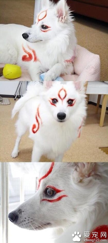 汪星人的大神Cos化妆，简直不能再帅…