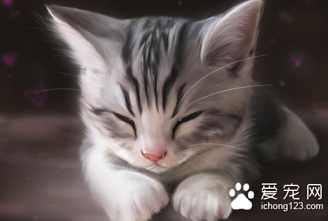 如何识别病猫 猫患病会有异常的仔细观察