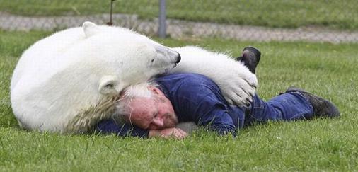 老人与北极熊玩耍自拍 众人惊出冷汗
