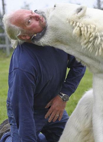 老人与北极熊玩耍自拍 众人惊出冷汗