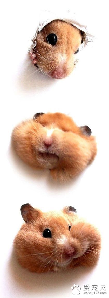 哎哎，卡住了！