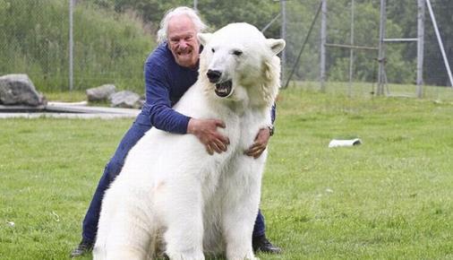 老人与北极熊玩耍自拍 众人惊出冷汗