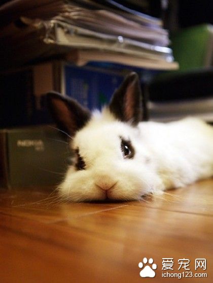 看你那委屈的小样儿