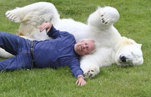 老人与北极熊玩耍自拍 众人惊出冷汗