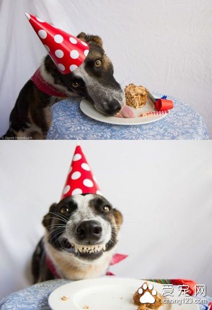 嘿嘿，就尝一口！