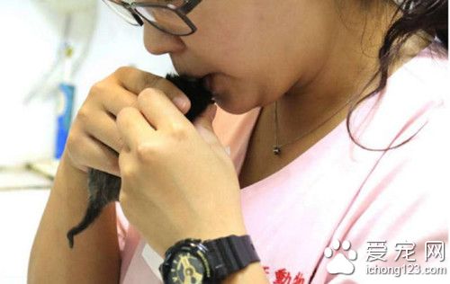 护士发现冷冰冰的流浪小猫 竟做出了这个动作