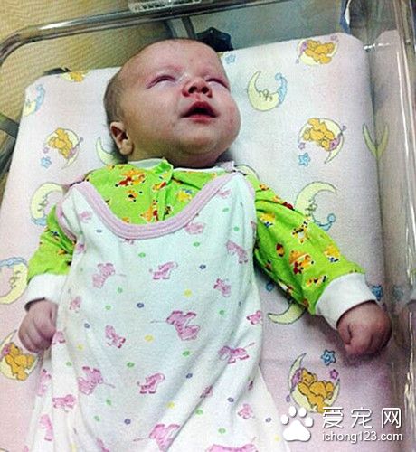 3个月大婴儿被遗弃 若不是这只猫咪就悲剧了