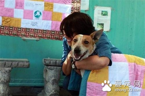 男子马路边发现一小坑 宠物狗遭活埋
