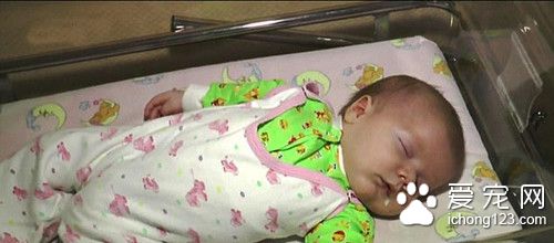 3个月大婴儿被遗弃 若不是这只猫咪就悲剧了