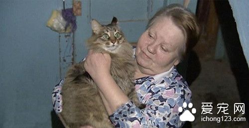 3个月大婴儿被遗弃 若不是这只猫咪就悲剧了