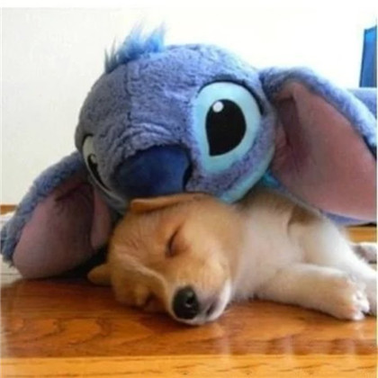 和你一样吗？睡觉总要抱点才安全！