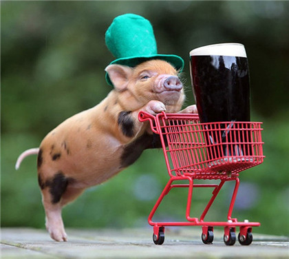 约起，我们一起购物吧！