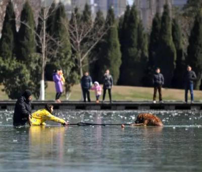 纵身跳冰湖救出落水狗 狗狗获救发生感动一幕