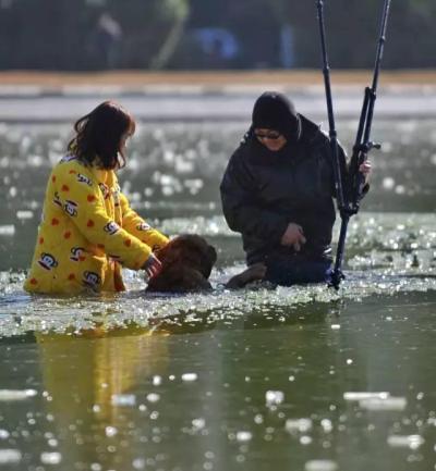 纵身跳冰湖救出落水狗 狗狗获救发生感动一幕
