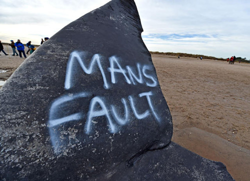 男子海滩发现众人围观  仔细一看竟让人不忍直视