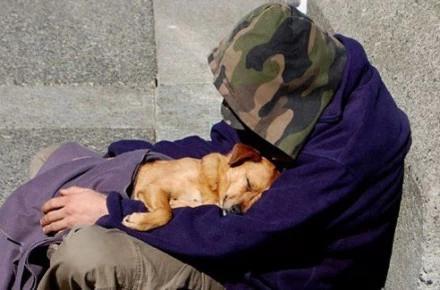 即使你没房没车 流浪狗也一样爱你