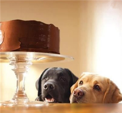 这个蛋糕看起来不错，我们应该怎么下手呢？