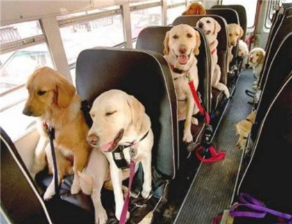 去旅游，真开心呢！