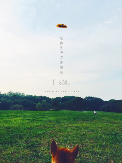 我要自由飞翔～