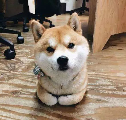 天冷揣小手，最舒服了