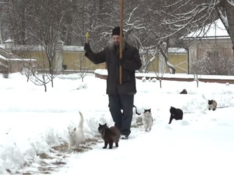 跟在神职者身后排队祈福 俄罗斯猫咪们好虔诚
