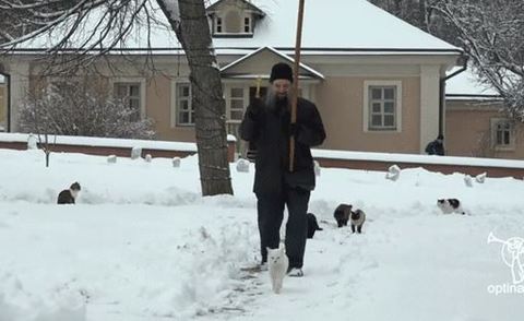 跟在神职者身后排队祈福 俄罗斯猫咪们好虔诚