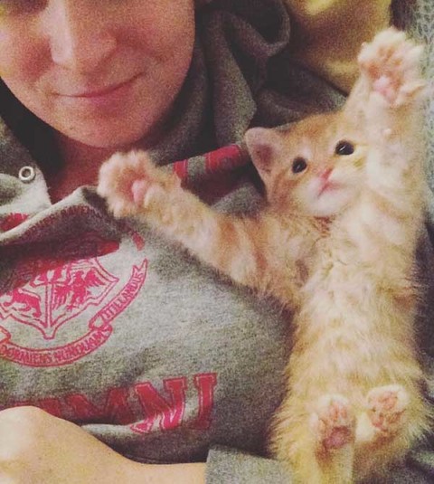 满满的都是爱 流浪的小橘猫从此有人爱咯